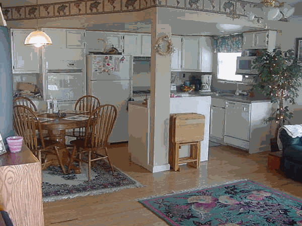 Kitchen/Dining Room Area