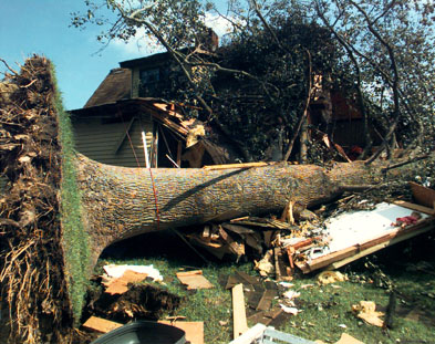 Storm Damage